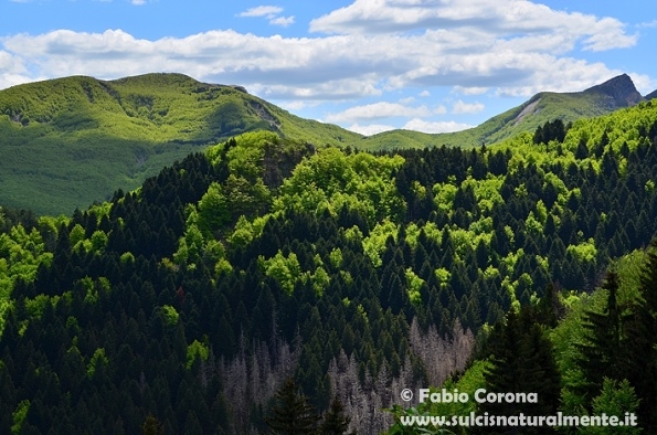 Lago Santo parmense - Monte Marmagna